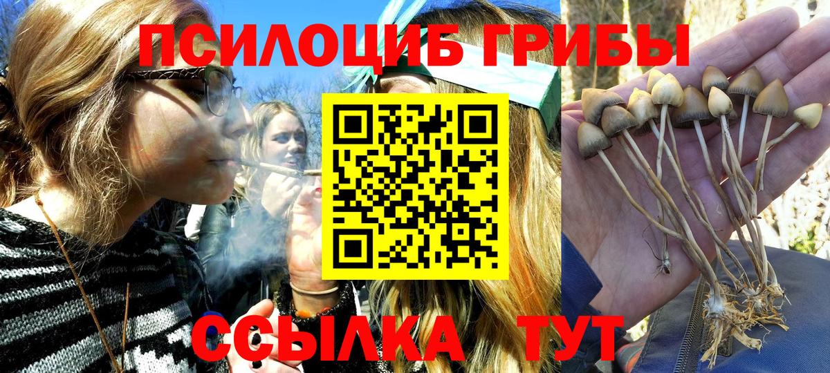 Каменск-Уральский  Псилоцибиновые грибы прущие грибы  Вход с VPN 